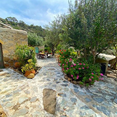 Natura Cottages Makrýgialos Eksteriør billede