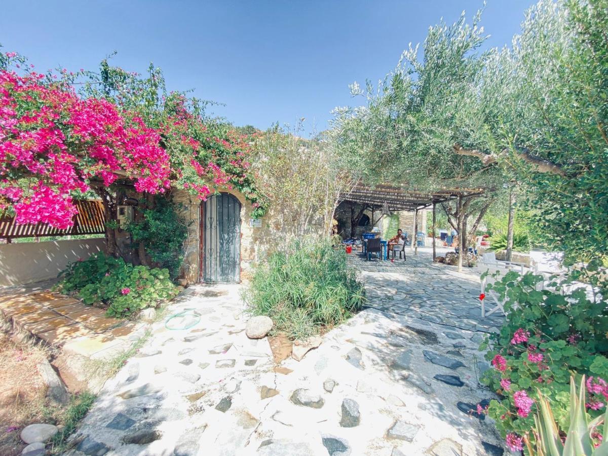 Natura Cottages Makrýgialos Eksteriør billede